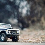 Exploring bookshops for rare and collectible editions