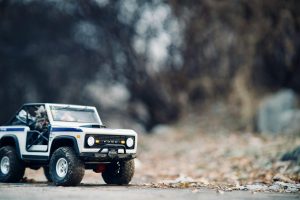 Exploring bookshops for rare and collectible editions