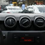 How to Travel With Pets in Your Car Safely