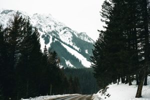 Adventures in a Campervan: Stories from the Road
