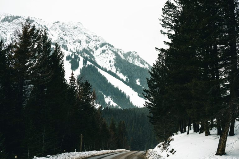 Adventures in a Campervan: Stories from the Road