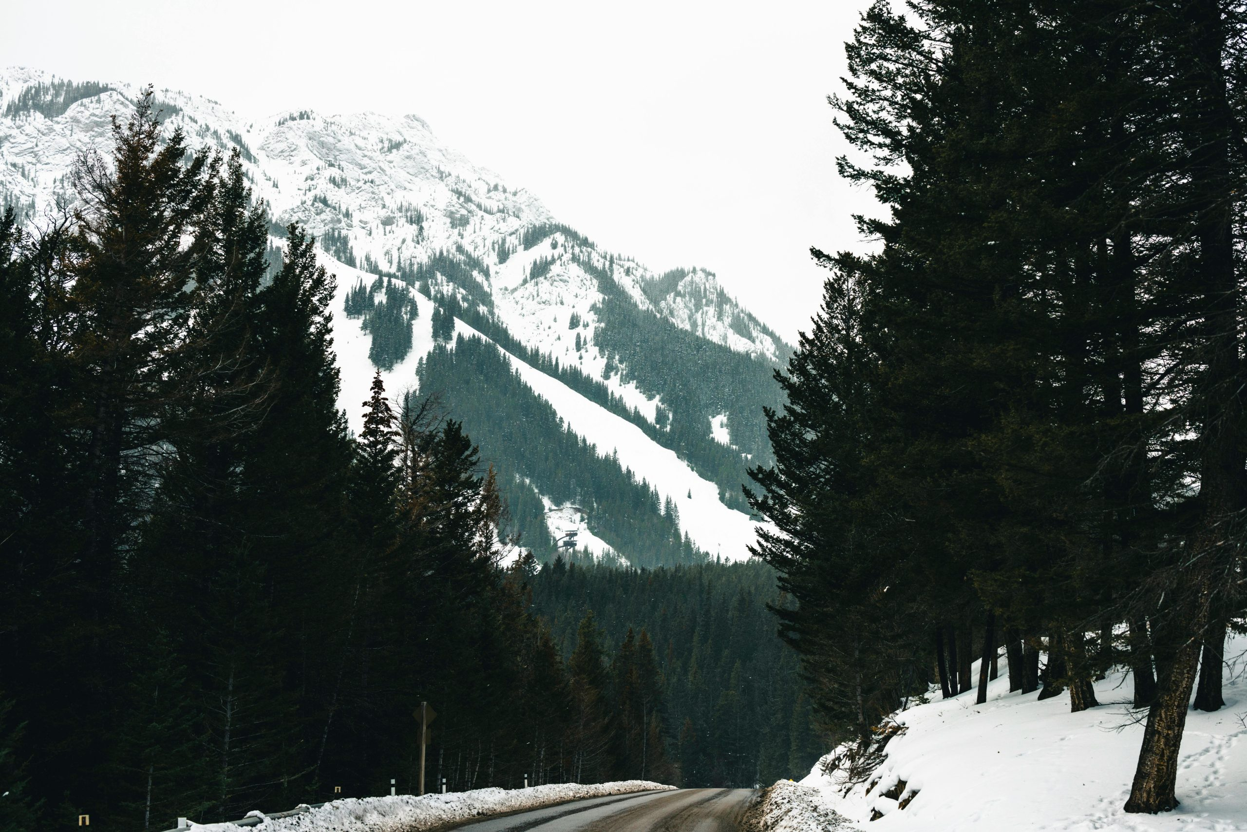Adventures in a Campervan: Stories from the Road