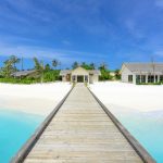 Should You Install Dashcams in Your Vehicle?