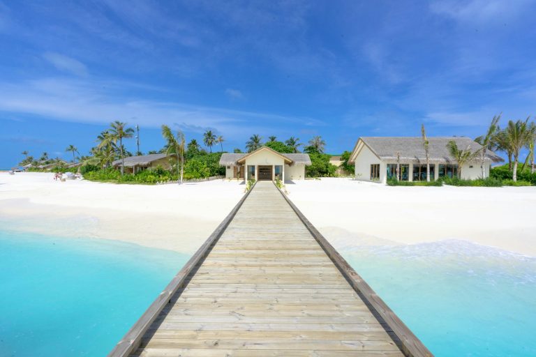 Should You Install Dashcams in Your Vehicle?