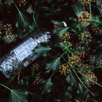 Green Jobs and the Sustainability Revolution