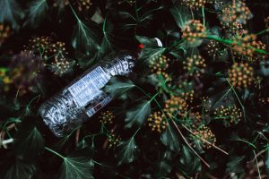 Green Jobs and the Sustainability Revolution