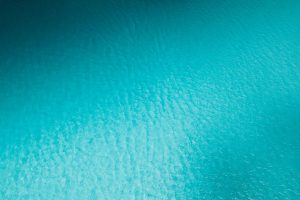 Brands add clear carbon and water use labels to tags