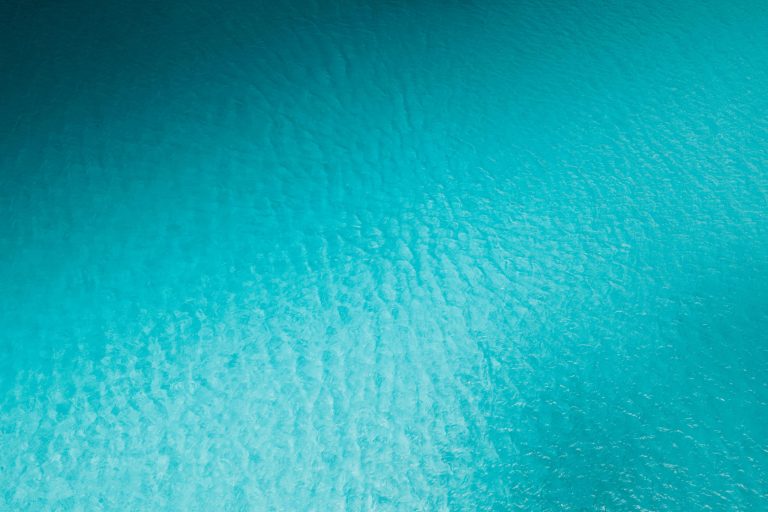 Brands add clear carbon and water use labels to tags