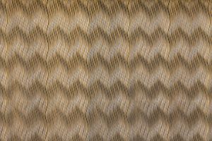 Innovative biodegradable textiles surge in major designer lines