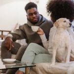 Pet Feeders With Two-Way Live Video Chat