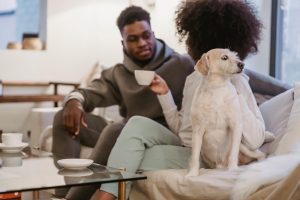 Pet Feeders With Two-Way Live Video Chat