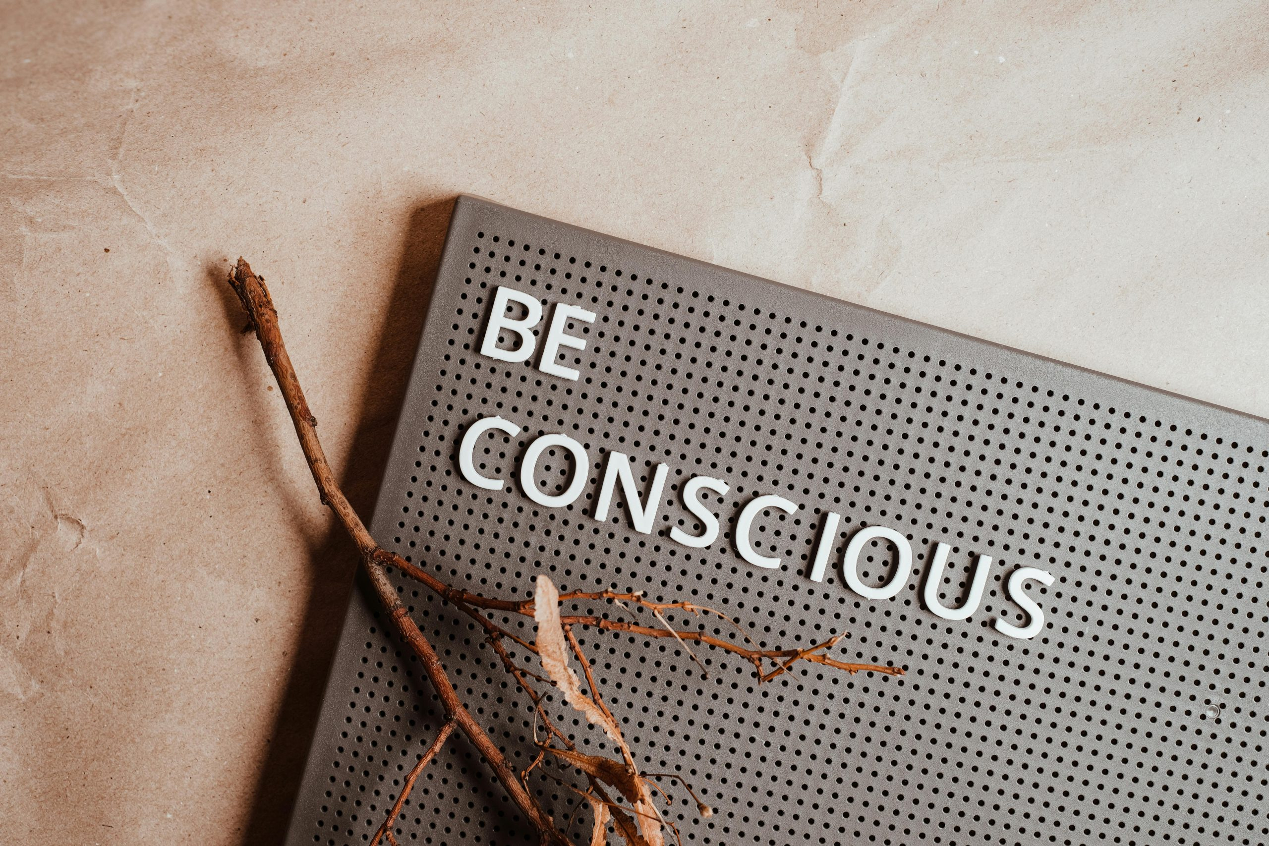 Beginner’s Handbook to creative expression in Sustainable Living