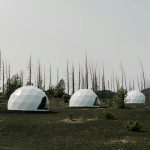 Eco-Friendly Lodges Offering Immersive Nature Experiences