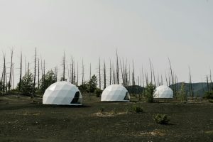 Eco-Friendly Lodges Offering Immersive Nature Experiences