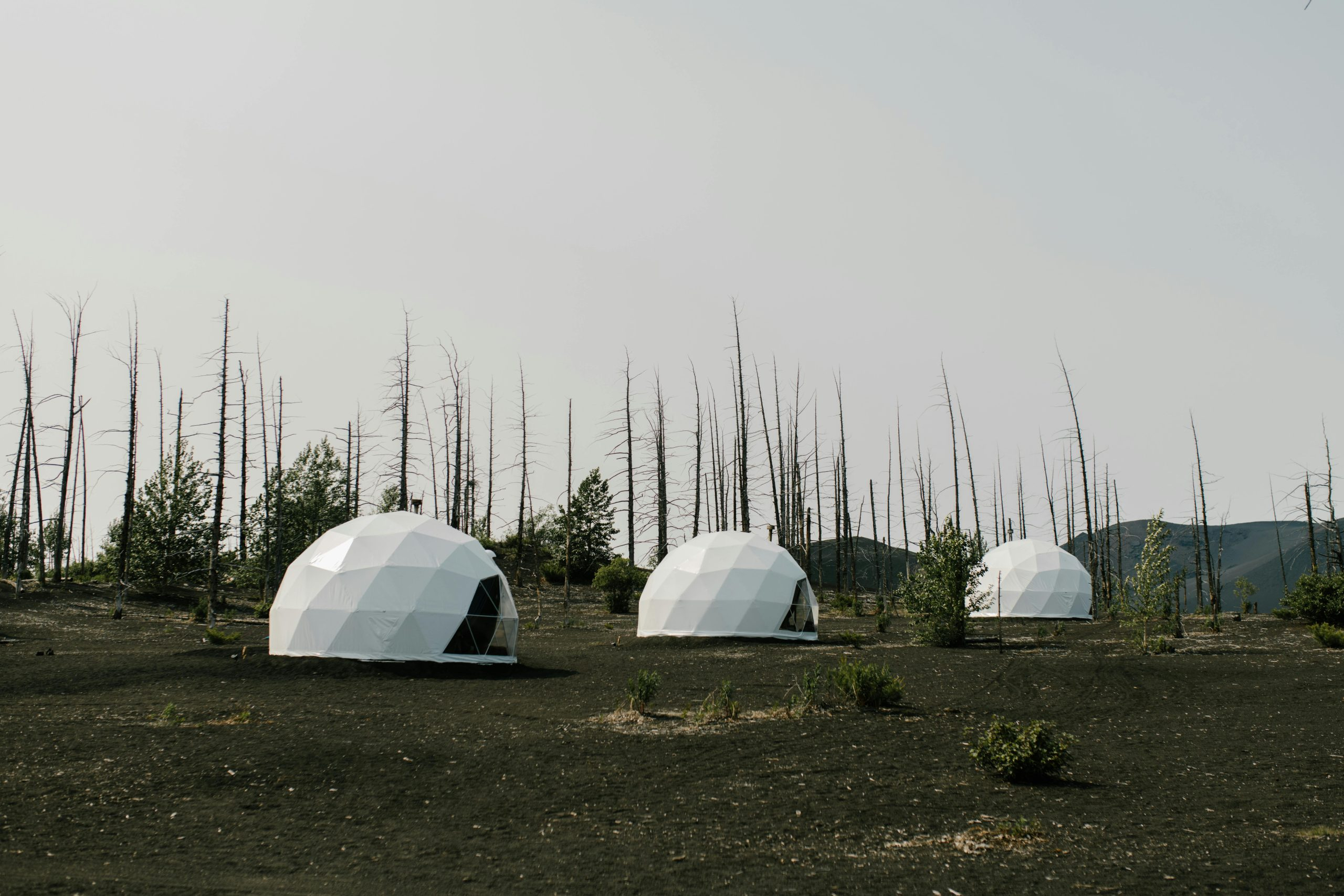 Eco-Friendly Lodges Offering Immersive Nature Experiences